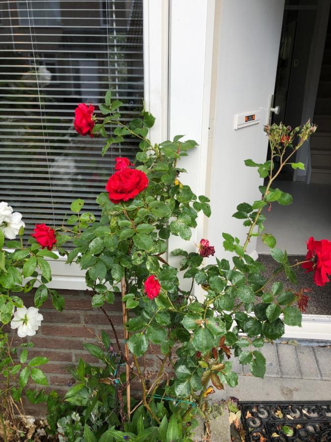 Vakantiewoning In Middelburg Zeeland Zewnętrze zdjęcie